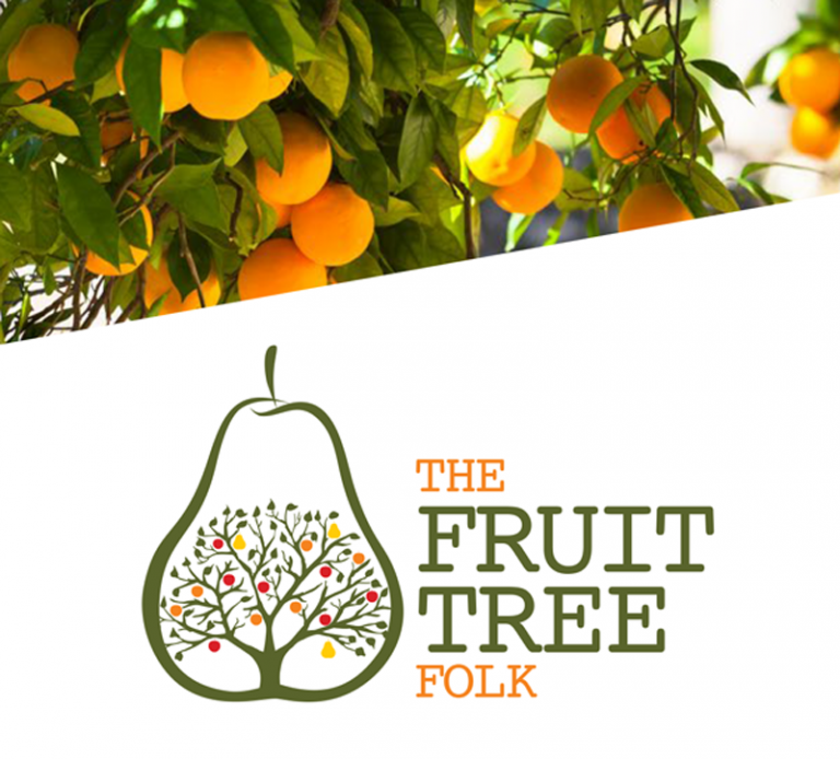 Fruit Tree Folk Branding hei.design